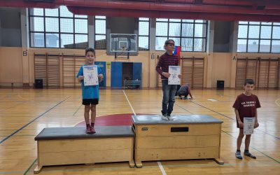 Tekmovanje v športni gimnastiki